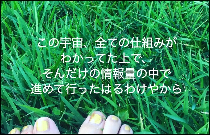 緑色の芝生の上で裸足の足先が見えている写真
